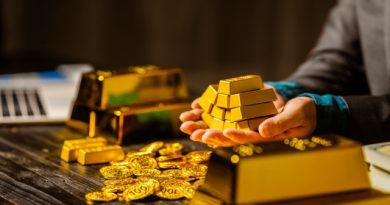 Understanding Diversification and Why It Matters