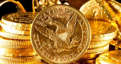 Silver Gold Bull Online Shopping Experience